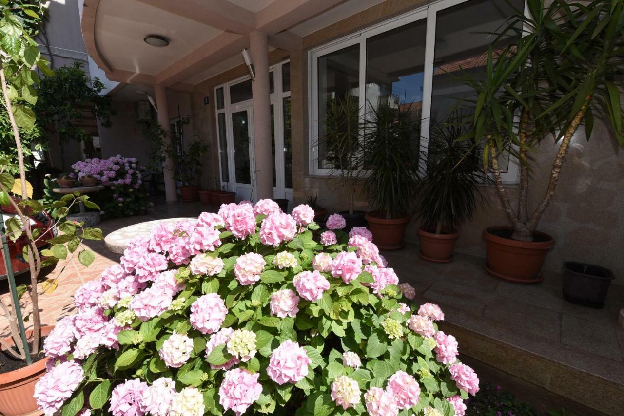 Guest House Zec Budva Buitenkant foto